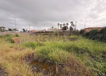 Giardino - Terreno edificabile via catira
20, San Gregorio di Catania - foto 4