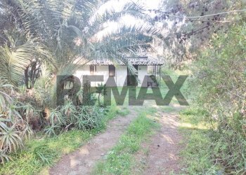 Giardino - Semi-detached house san pancrazio
 
snc, Librizzi - photo 1