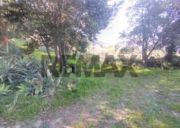 Giardino - Semi-detached house san pancrazio
 
snc, Librizzi - photo 8
