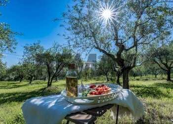 Giardino - Independent house Via Santa Cristina
 
154, Rimini - photo 17