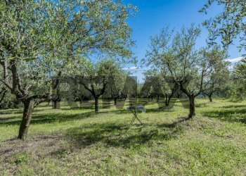Giardino - Independent house Via Santa Cristina
 
154, Rimini - photo 18
