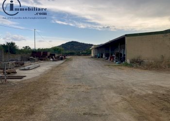 Foto 4 - Capannone Strada per Orrì, Tortolì - foto 4