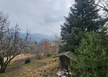 Terreno - Rustico Località Ca' di Stefano, Frontino - foto 17