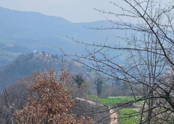 Vista - Rustico Località Ca' di Stefano, Frontino - foto 18