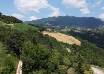 Vista - Rustico Località Ca' di Stefano, Frontino - foto 48