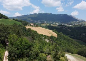 Vista - Rustico Località Ca' di Stefano, Frontino - foto 49