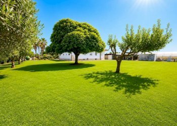 Foto 3 - Villa Strada del Passo, Latina - photo 3