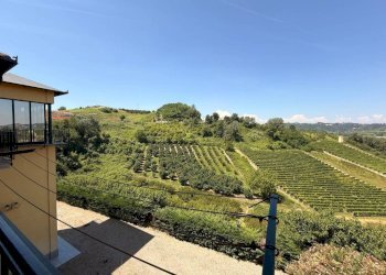 Vista - Villa Frazione San Rocco, 163, Montaldo Roero - foto 16