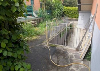 Giardino - Appartamento Bologna (zona Mazzini) - foto 28