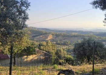 Terreno - Casa indipendente contrada Prisdarello, Gioiosa Ionica - foto 5