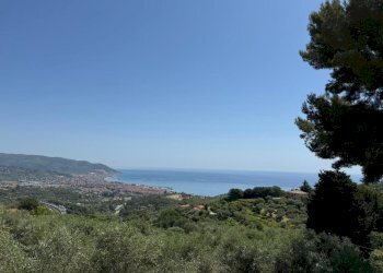 PHOTO-2026-05-26-15-01-39 - Villa Diano Marina - photo 8