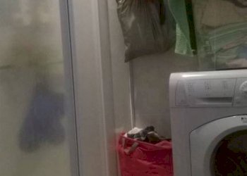 Four-room apartment Torino (neighborhood Pozzo Strada) - photo 20