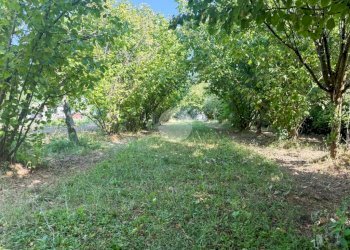 Casa indipendente Strada comunale delle berchie, Givoletto - foto 29