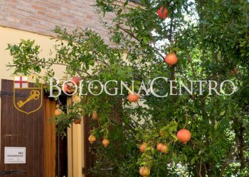 Villa Unifamiliare San Lazzaro di Savena - foto 32