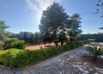 Giardino - Casa semi indipendente Via Pescara
 
snc, San Vito dei Normanni - foto 4