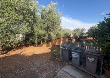 Giardino - Casa semi indipendente Via Pescara
 
snc, San Vito dei Normanni - foto 32