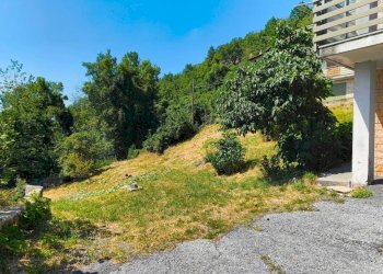 Terreno - Bilocale salita San Salvatore, Montaldo di Mondovì - foto 13