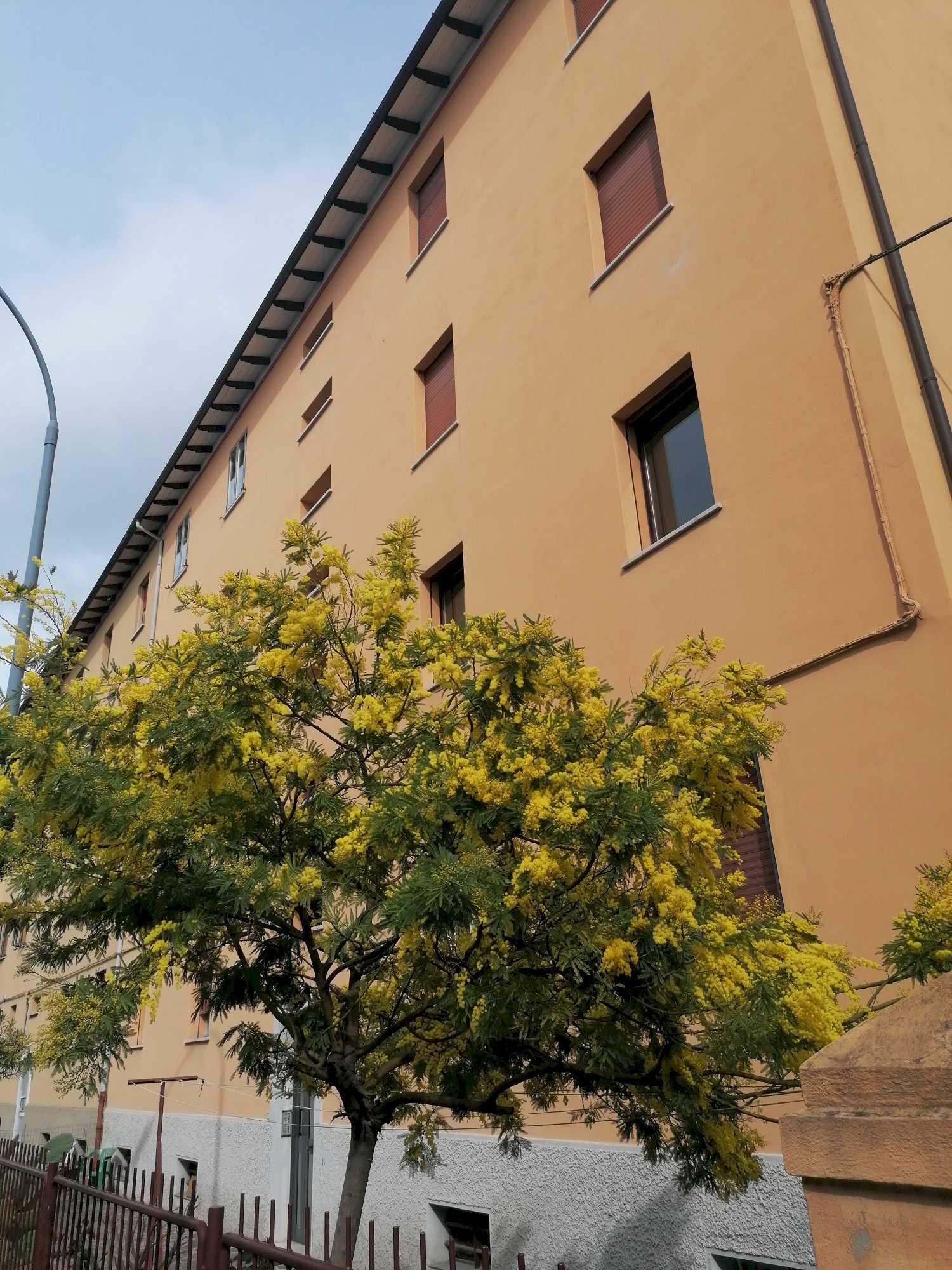 Trilocale Via CASONI, 10, Bologna (zona Bolognina) - foto 2