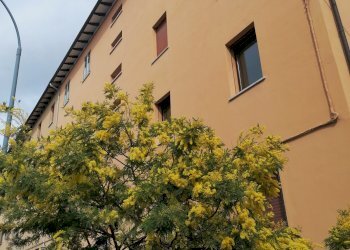Trilocale Via CASONI, 10, Bologna (zona Bolognina) - foto 2