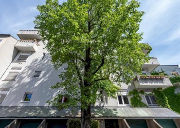 Apartment Segrate - photo 41