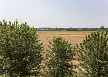Two-room apartment Peschiera Borromeo - photo 7
