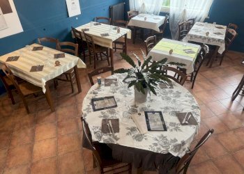 Commercial Activity Carmagnola via Sommariva, Carmagnola - photo 25