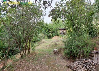Foto 24 - Villa via maremmana inferiore, San Polo dei Cavalieri - photo 24