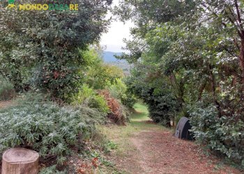 Foto 69 - Villa via maremmana inferiore, San Polo dei Cavalieri - photo 69