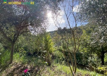 Foto 111 - Villa via maremmana inferiore, San Polo dei Cavalieri - photo 111