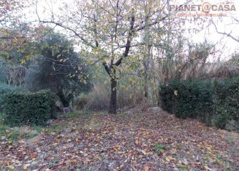 Foto 43 - Casa indipendente Contrada Ferretti, Spinetoli - foto 43