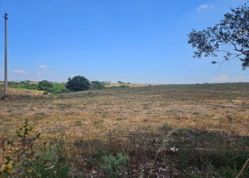 Foto 5 - Terreno agricolo Via Vallata, Roma - foto 5