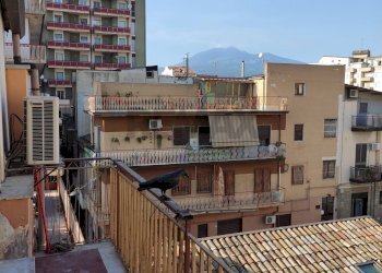 Balcone - Bilocale Via Maenza
9, Paterno - foto 5