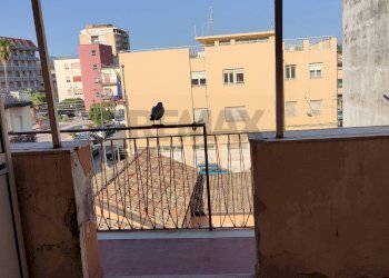 Balcone - Bilocale Via Maenza
9, Paterno - foto 15