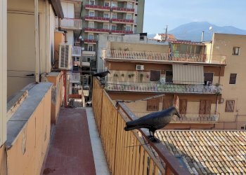 Balcone - Bilocale Via Maenza
9, Paterno - foto 16