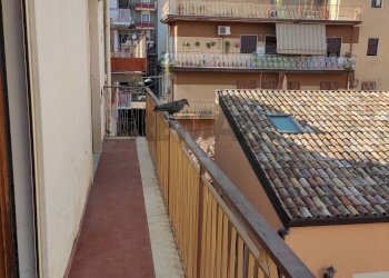 Balcone - Trilocale Via Maenza
9, Paterno - foto 9