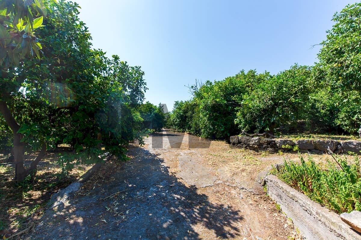 Giardino - Agricultural land Via Scigliano
8, Aci Catena - photo 2