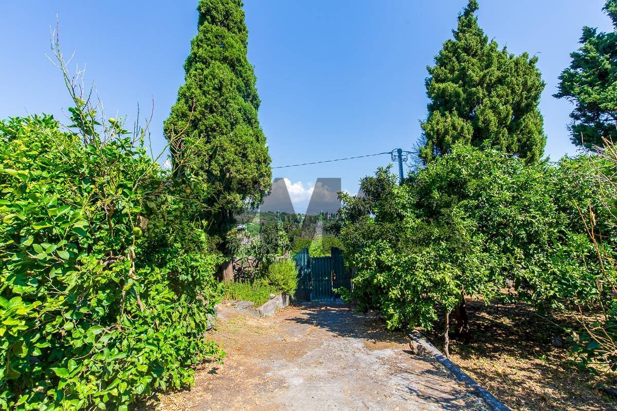 Giardino - Agricultural land Via Scigliano
8, Aci Catena - photo 3