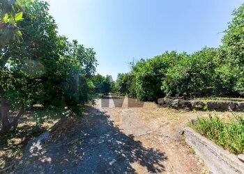 Giardino - Agricultural land Via Scigliano
8, Aci Catena - photo 2