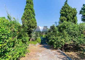 Giardino - Agricultural land Via Scigliano
8, Aci Catena - photo 3