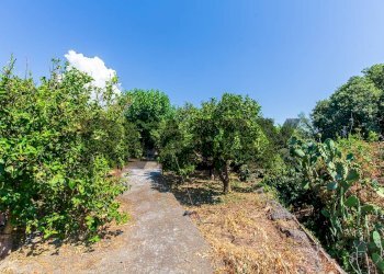 Giardino - Agricultural land Via Scigliano
8, Aci Catena - photo 43