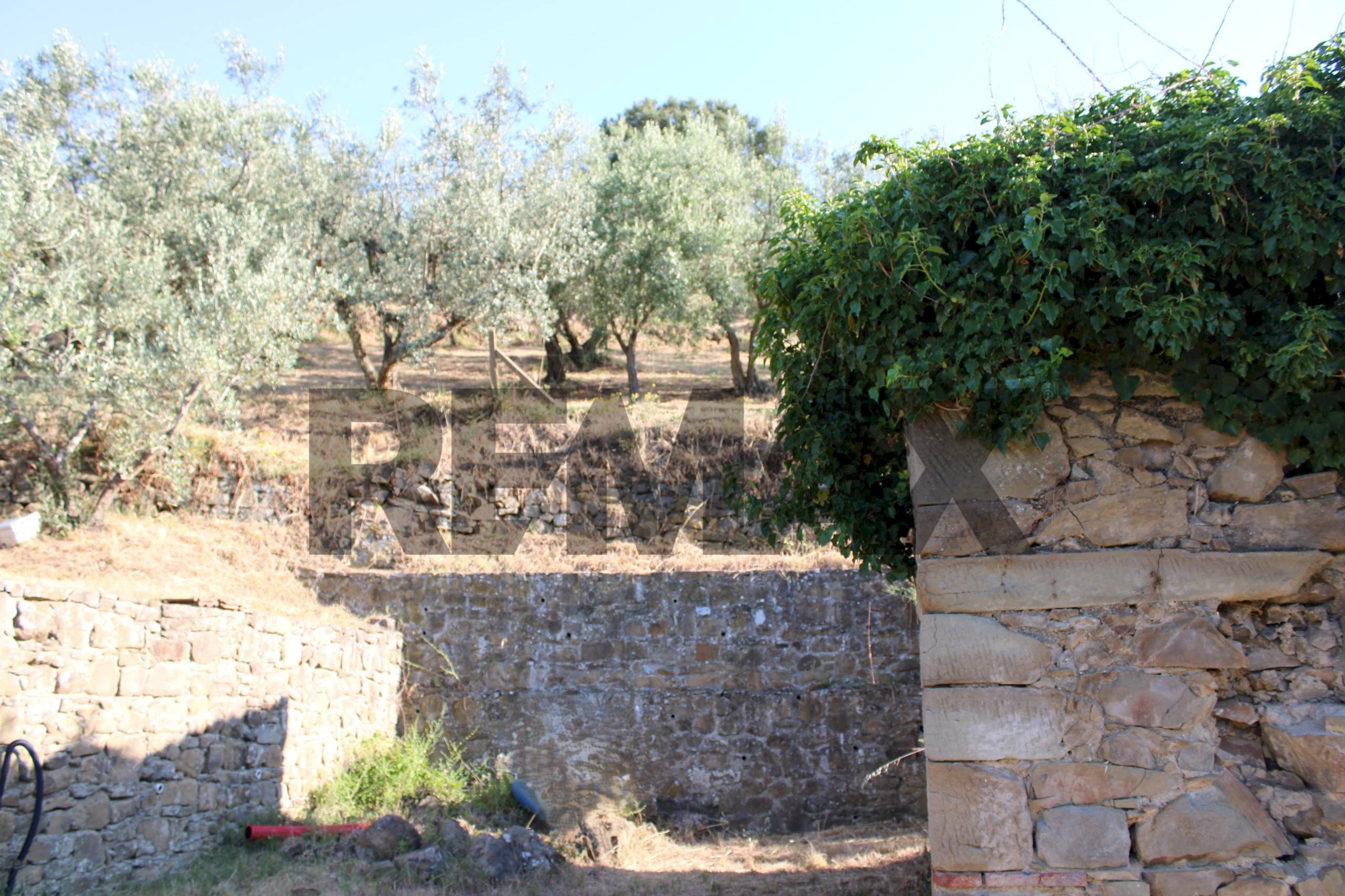 Giardino - Rustic Via Mignana
65, Vinci - photo 3