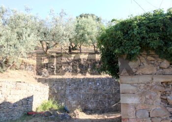 Giardino - Rustic Via Mignana
 
65, Vinci - photo 3