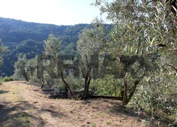 Vista delle montagne - Rustic Via Mignana
 
65, Vinci - photo 7