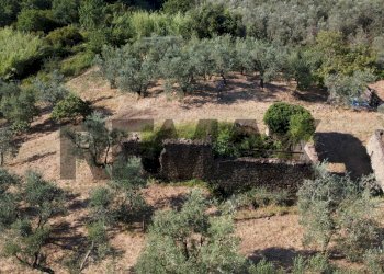 dall\'alto - Rustic Via Mignana
 
65, Vinci - photo 9