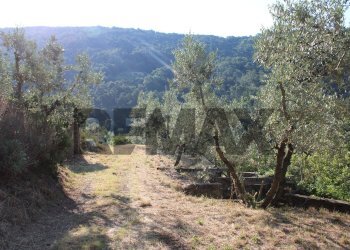 Vista delle montagne - Rustic Via Mignana
 
65, Vinci - photo 10