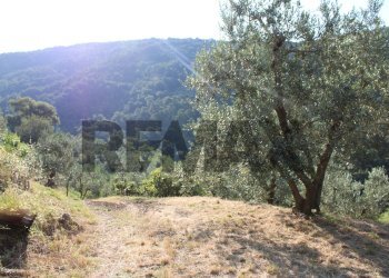 esterno - Rustic Via Mignana
 
65, Vinci - photo 15