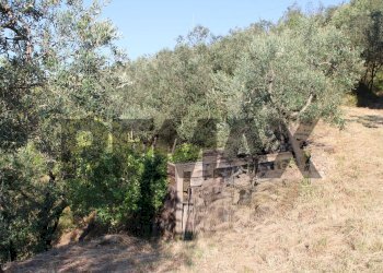 terreno - Rustic Via Mignana
 
65, Vinci - photo 19