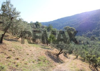 terreno - Rustic Via Mignana
 
65, Vinci - photo 20