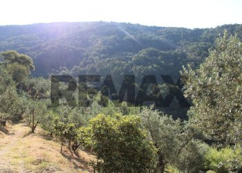 panoramica - Rustic Via Mignana
 
65, Vinci - photo 21