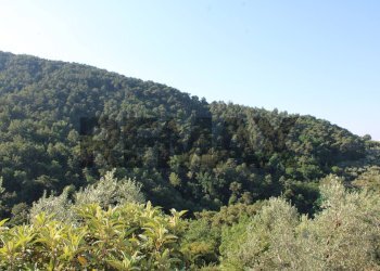 panoramica - Rustic Via Mignana
 
65, Vinci - photo 26